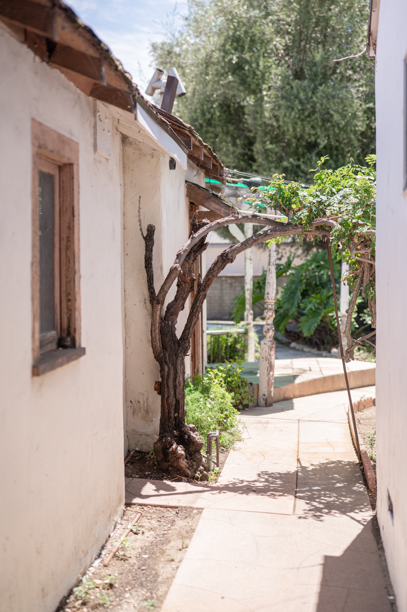 Additional residence and grounds at El Monte Avenue